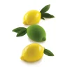 Limone & Lime 120