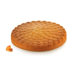 Ninfa