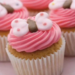 SF102 Medium Muffin