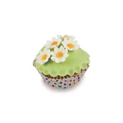 SLK803 DAISY