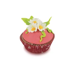 SLK803 DAISY