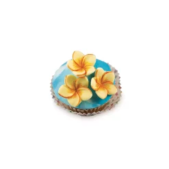 SLK808 FRANGIPANI FLOWER