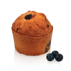 SQ101 Jumbo Muffin