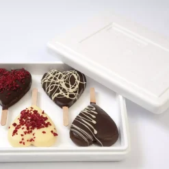 TAKE AWAY BOX - 100 SCATOLE POLISTIROLO 278X228 H 56 MM